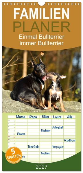 Familienplaner 2027 - Einmal Bullterrier - immer Bullterrier mit 5 Spalten (Wandkalender 21 x 45 cm) CALVENDO