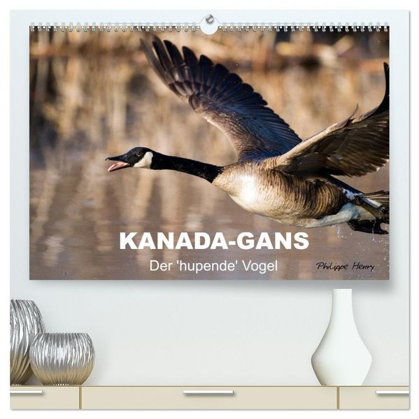 KANADA-GANS - Der 'hupende' Vogel (hochwertiger Premium Wandkalender 2027 DIN A2 quer) Kunstdruck in Hochglanz