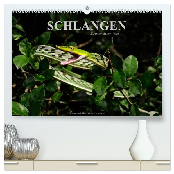 Schlangen (hochwertiger Premium Wandkalender 2027 DIN A2 quer) Kunstdruck in Hochglanz