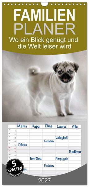 Familienplaner 2027 - Wo ein Blick genügt und die Welt leiser wird mit 5 Spalten (Wandkalender 21 x 45 cm) CALVENDO