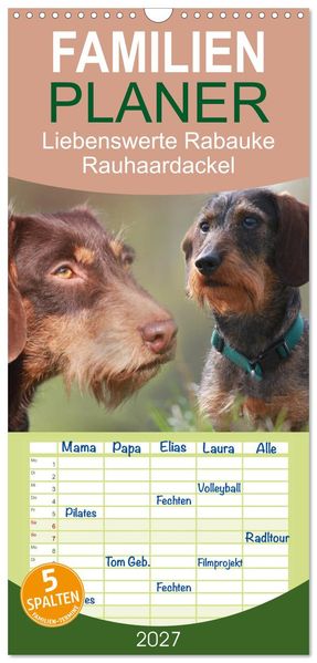 Familienplaner 2027 - Liebenswerte Rabauken - Rauhaardackel mit 5 Spalten (Wandkalender 21 x 45 cm) CALVENDO