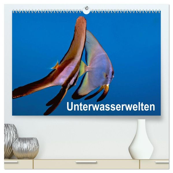 Unterwasserwelten (hochwertiger Premium Wandkalender 2027 DIN A2 quer) Kunstdruck in Hochglanz