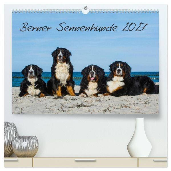 Berner Sennenhund 2027 (hochwertiger Premium Wandkalender 2027 DIN A2 quer) Kunstdruck in Hochglanz