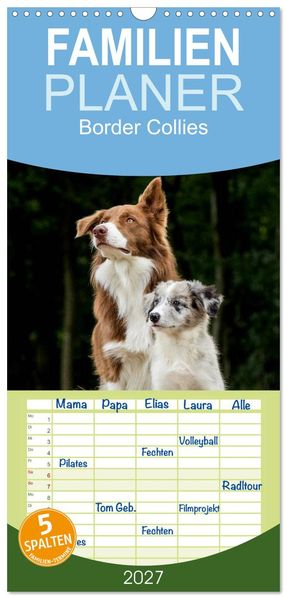 Familienplaner 2027 - Border Collies 2027 mit 5 Spalten (Wandkalender 21 x 45 cm) CALVENDO