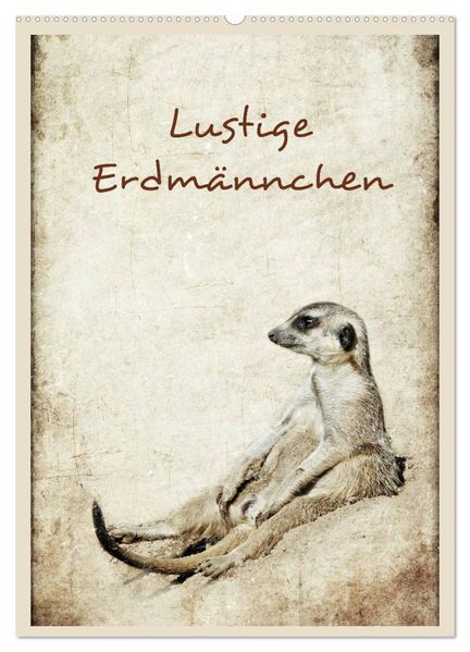 Lustige Erdmännchen (Wandkalender 2027 DIN A2 hoch) CALVENDO Monatskalender