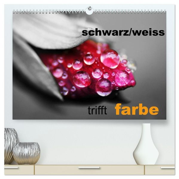 schwarz/weiß trifft farbe (hochwertiger Premium Wandkalender 2027 DIN A2 quer) Kunstdruck in Hochglanz