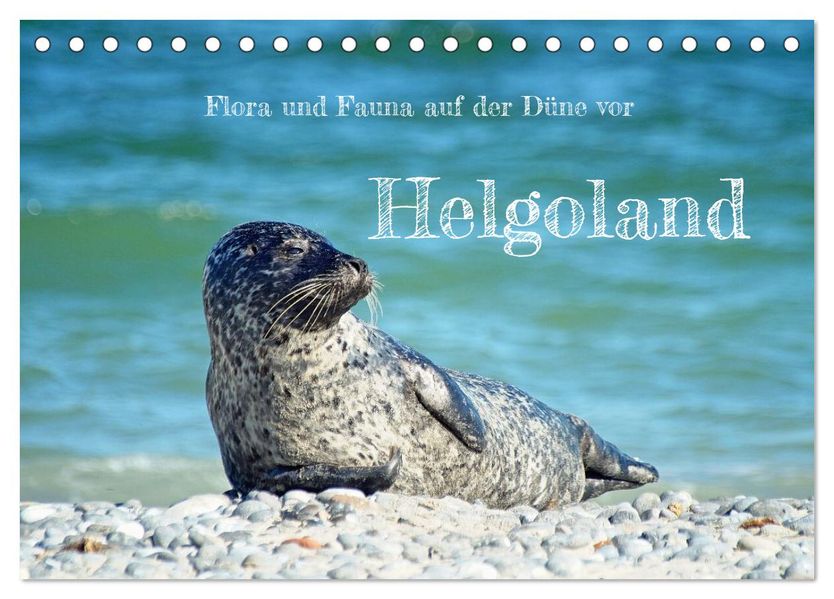 Flora und Fauna auf der Düne vor Helgoland (Tischkalender 2027 DIN A5 quer) CALVENDO Monatskalender