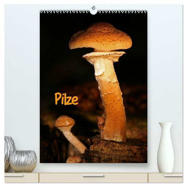 Pilze (hochwertiger Premium Wandkalender 2027 DIN A2 hoch) Kunstdruck in Hochglanz