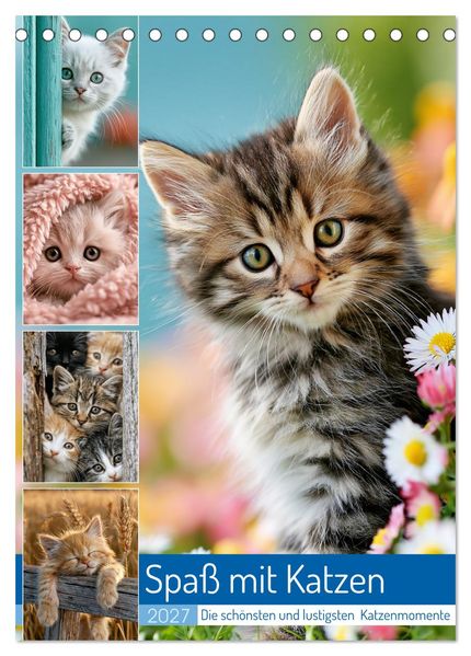 Spaß mit Katzen (Tischkalender 2027 DIN A5 hoch) CALVENDO Monatskalender