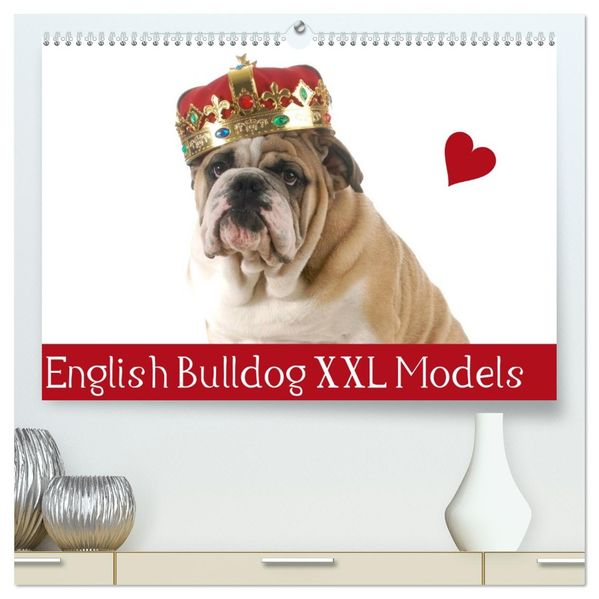 English Bulldog XXL Models (hochwertiger Premium Wandkalender 2027 DIN A2 quer) Kunstdruck in Hochglanz