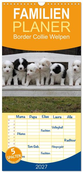 Familienplaner 2027 - Border Collie Welpen mit 5 Spalten (Wandkalender 21 x 45 cm) CALVENDO