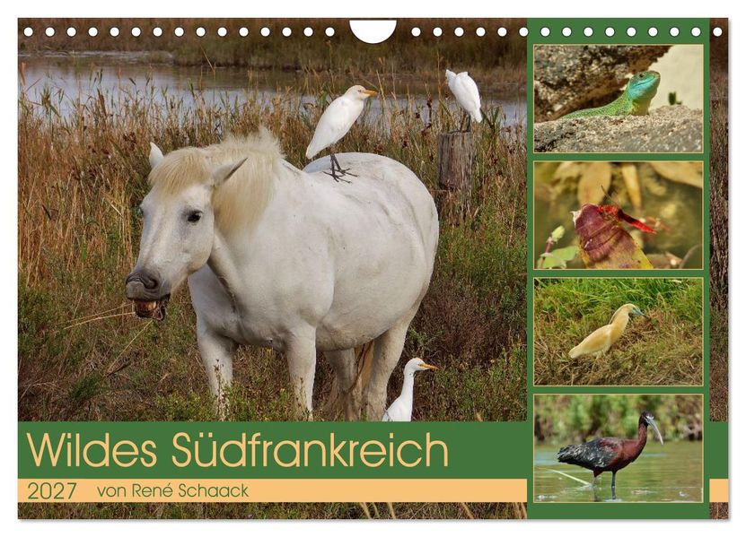 Wildes Südfrankreich (Wandkalender 2027 DIN A4 quer) CALVENDO Monatskalender