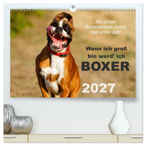 Wenn ich groß bin werd' ich Boxer (hochwertiger Premium Wandkalender 2027 DIN A2 quer) Kunstdruck in Hochglanz