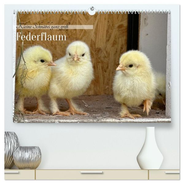 Federflaum - Kleine Schnäbel ganz groß (hochwertiger Premium Wandkalender 2027 DIN A2 quer) Kunstdruck in Hochglanz