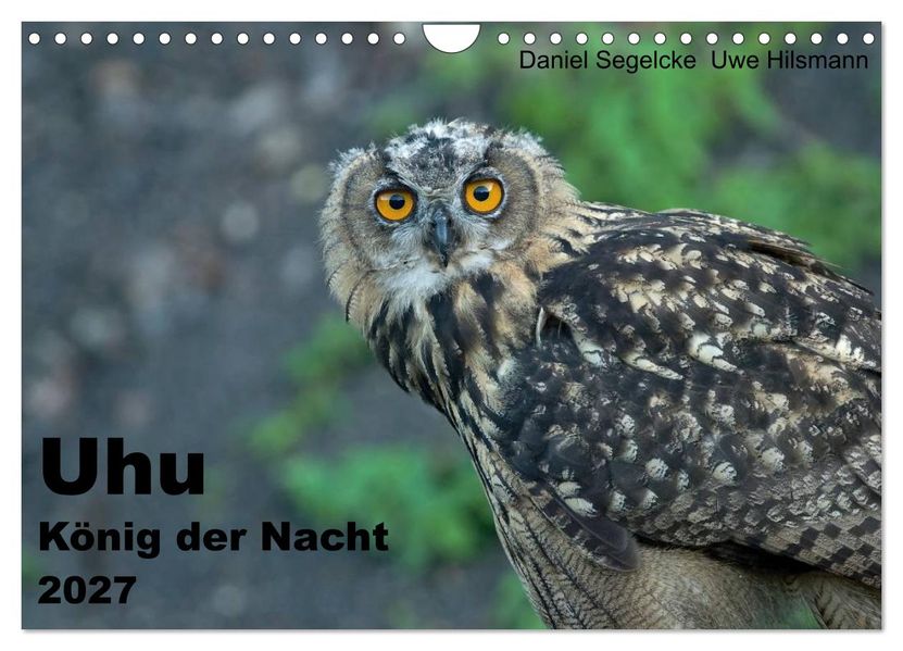 Uhu - König der Nacht (Wandkalender 2027 DIN A4 quer) CALVENDO Monatskalender