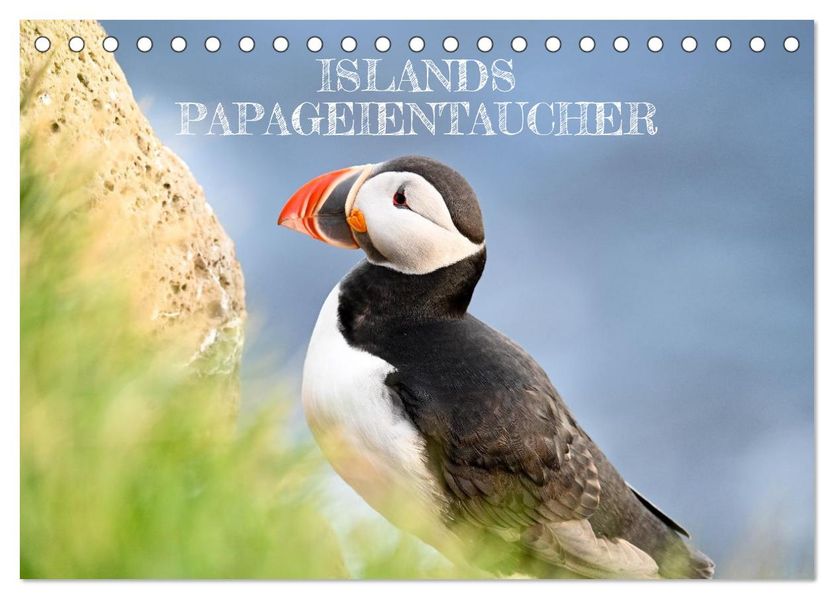 Islands Papageientaucher (Tischkalender 2027 DIN A5 quer) CALVENDO Monatskalender