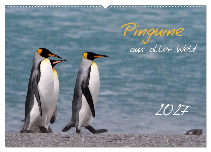 Pinguine aus aller Welt (Wandkalender 2027 DIN A2 quer) CALVENDO Monatskalender