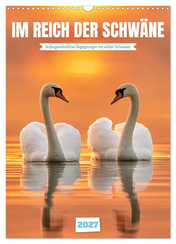 Im Reich der Schwäne (Wandkalender 2027 DIN A3 hoch) CALVENDO Monatskalender
