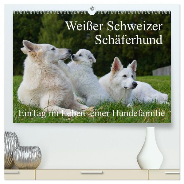Weißer Schweizer Schäferhund - Ein Tag im Leben einer Hundefamilie (hochwertiger Premium Wandkalender 2027 DIN A2 quer) Kunstdruck in Hochglanz