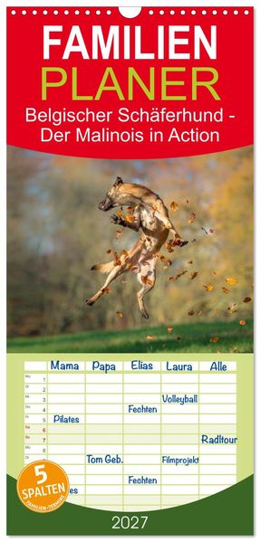 Familienplaner 2027 - Belgischer Schäferhund - Der Malinois in Action mit 5 Spalten (Wandkalender 21 x 45 cm) CALVENDO