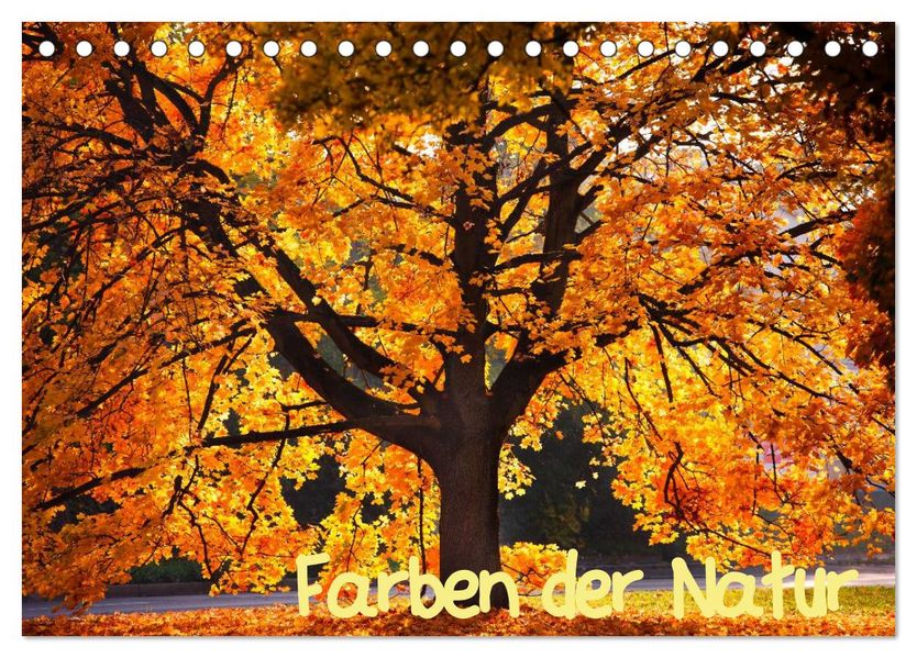 Farben der Natur (Tischkalender 2027 DIN A5 quer) CALVENDO Monatskalender