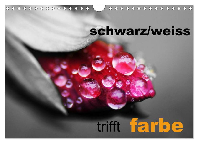 schwarz/weiß trifft farbe (Wandkalender 2027 DIN A4 quer) CALVENDO Monatskalender
