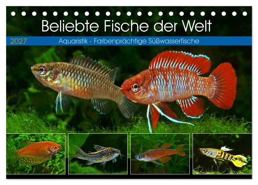 Beliebte Fische der Welt (Tischkalender 2027 DIN A5 quer) CALVENDO Monatskalender