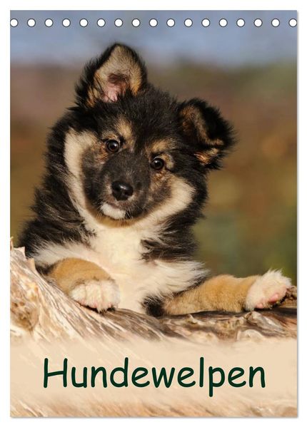 Hundewelpen (Tischkalender 2027 DIN A5 hoch) CALVENDO Monatskalender