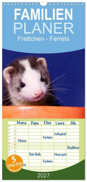 Familienplaner 2027 - Frettchen - Ferrets mit 5 Spalten (Wandkalender 21 x 45 cm) CALVENDO