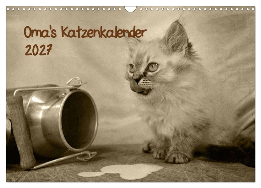Oma's Katzenkalender 2027 (Wandkalender 2027 DIN A3 quer) CALVENDO Monatskalender