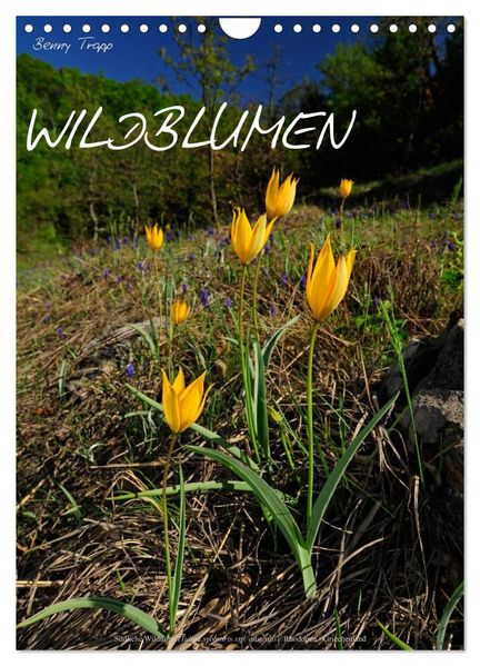 WILDBLUMEN (Wandkalender 2027 DIN A4 hoch) CALVENDO Monatskalender