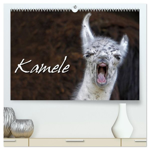 Kamele (hochwertiger Premium Wandkalender 2027 DIN A2 quer) Kunstdruck in Hochglanz