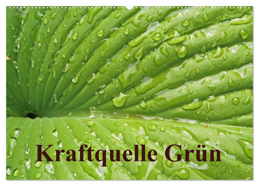Kraftquelle Grün (Wandkalender 2027 DIN A2 quer) CALVENDO Monatskalender