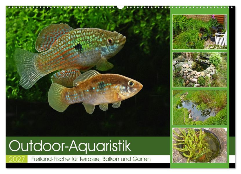 Outdoor-Aquaristik (Wandkalender 2027 DIN A2 quer) CALVENDO Monatskalender