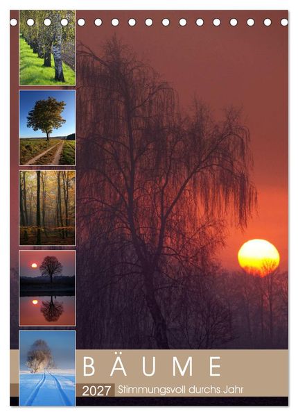 Bäume - Stimmungsvoll durchs Jahr (Tischkalender 2027 DIN A5 hoch) CALVENDO Monatskalender