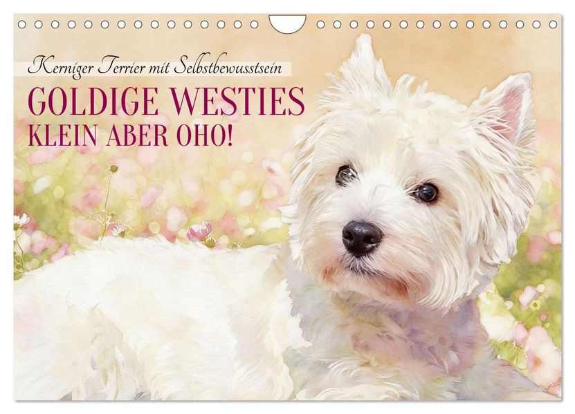 Goldige Westies - klein aber oho! (Wandkalender 2027 DIN A4 quer) CALVENDO Monatskalender