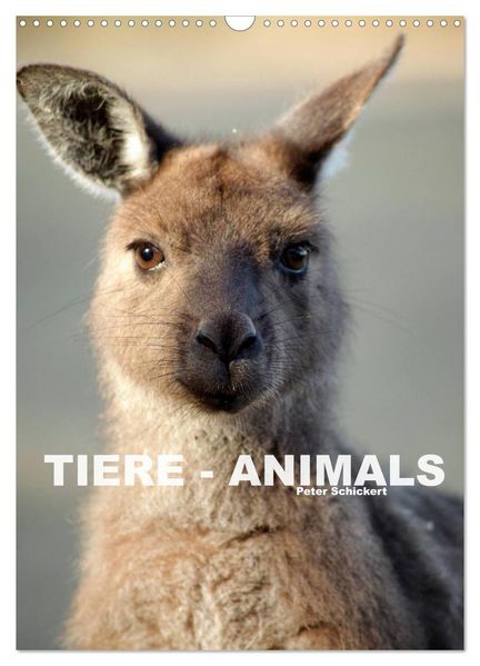 Tiere - Animals (Wandkalender 2027 DIN A3 hoch) CALVENDO Monatskalender