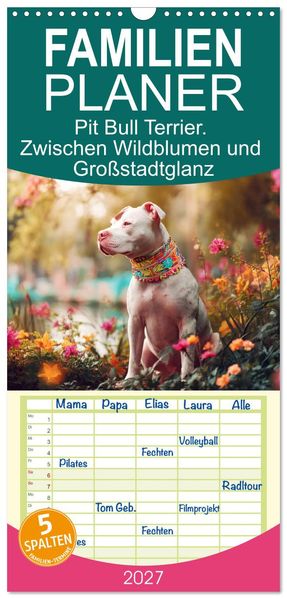 Familienplaner 2027 - Pit Bull Terrier. Zwischen Wildblumen und Großstadtglanz mit 5 Spalten (Wandkalender 21 x 45 cm) CALVENDO
