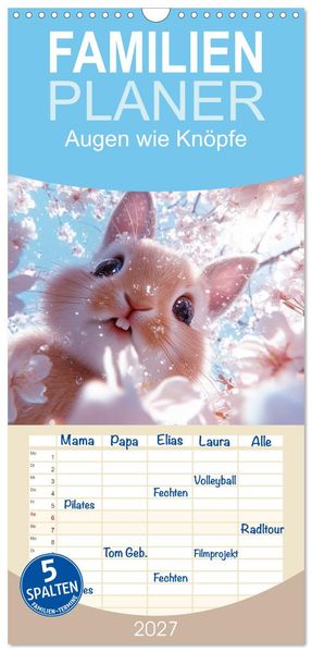 Familienplaner 2027 - Augen wie Knöpfe mit 5 Spalten (Wandkalender 21 x 45 cm) CALVENDO