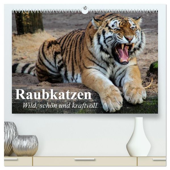 Raubkatzen. Wild schön und kraftvoll (hochwertiger Premium Wandkalender 2027 DIN A2 quer) Kunstdruck in Hochglanz