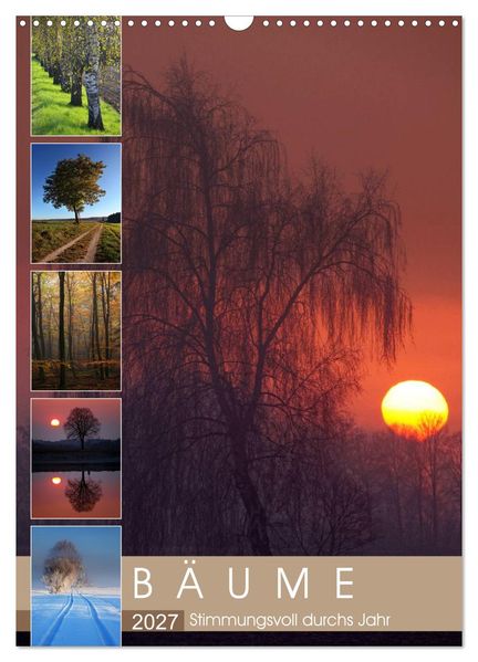 Bäume - Stimmungsvoll durchs Jahr (Wandkalender 2027 DIN A3 hoch) CALVENDO Monatskalender