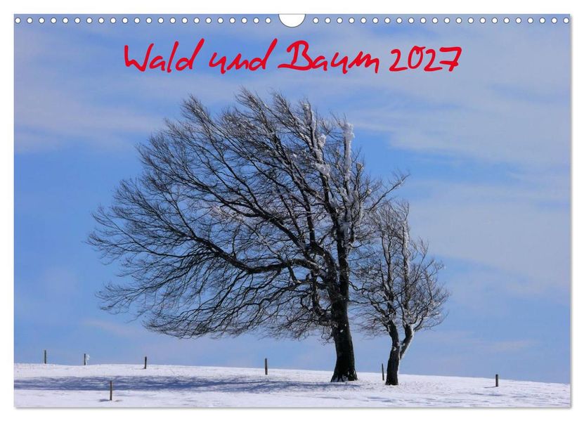 Wald und Baum 2027 (Wandkalender 2027 DIN A3 quer) CALVENDO Monatskalender