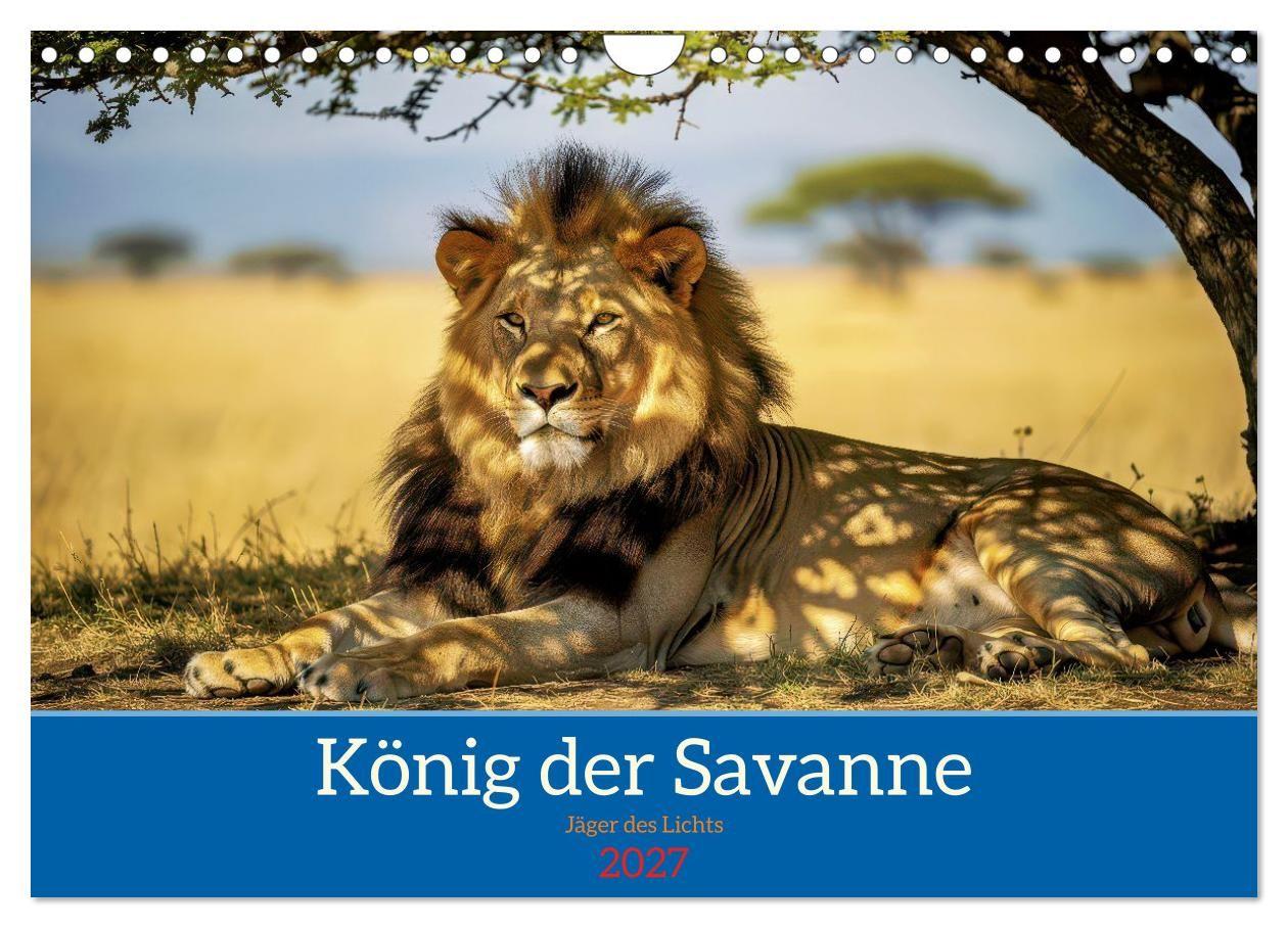 Löwen der Savanne (Wandkalender 2027 DIN A4 quer) CALVENDO Monatskalender