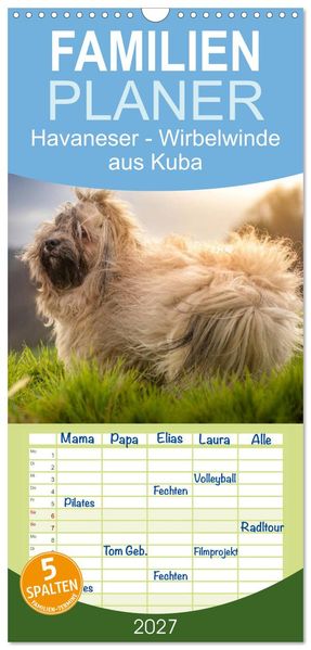 Familienplaner 2027 - Havaneser - Wirbelwinde aus Kuba mit 5 Spalten (Wandkalender 21 x 45 cm) CALVENDO