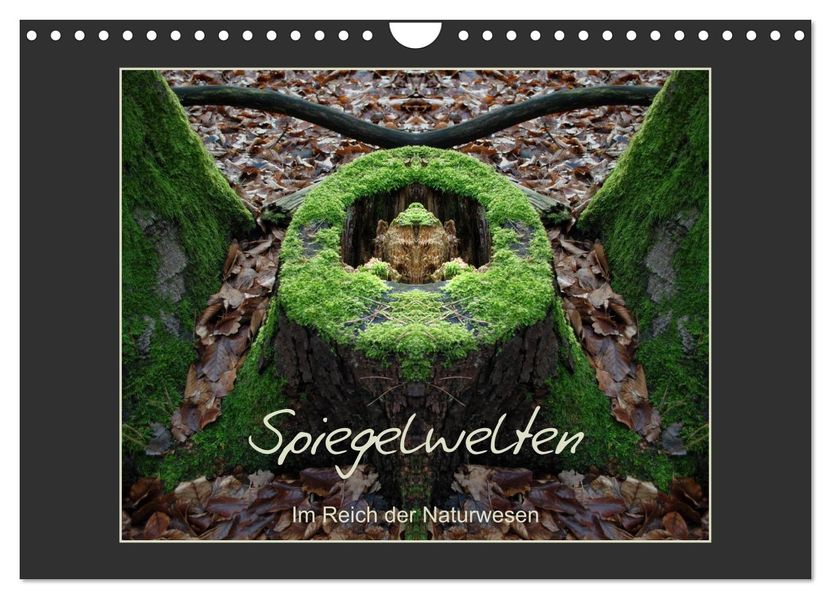 Spiegelwelten - Im Reich der Naturwesen (Wandkalender 2027 DIN A4 quer) CALVENDO Monatskalender