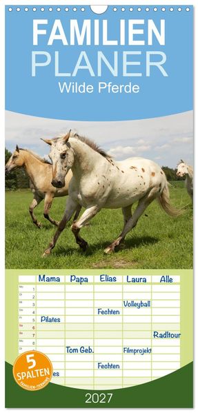 Familienplaner 2027 - Wilde Pferde mit 5 Spalten (Wandkalender 21 x 45 cm) CALVENDO