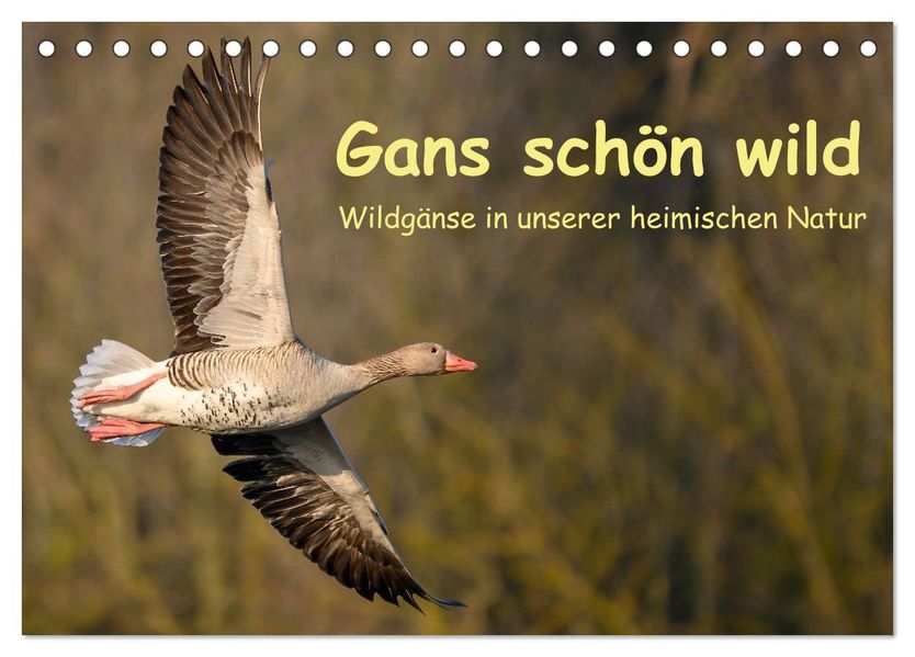 Gans schön wild (Tischkalender 2027 DIN A5 quer) CALVENDO Monatskalender
