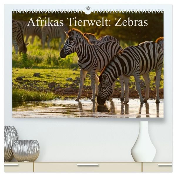 Afrikas Tierwelt: Zebras (hochwertiger Premium Wandkalender 2027 DIN A2 quer) Kunstdruck in Hochglanz