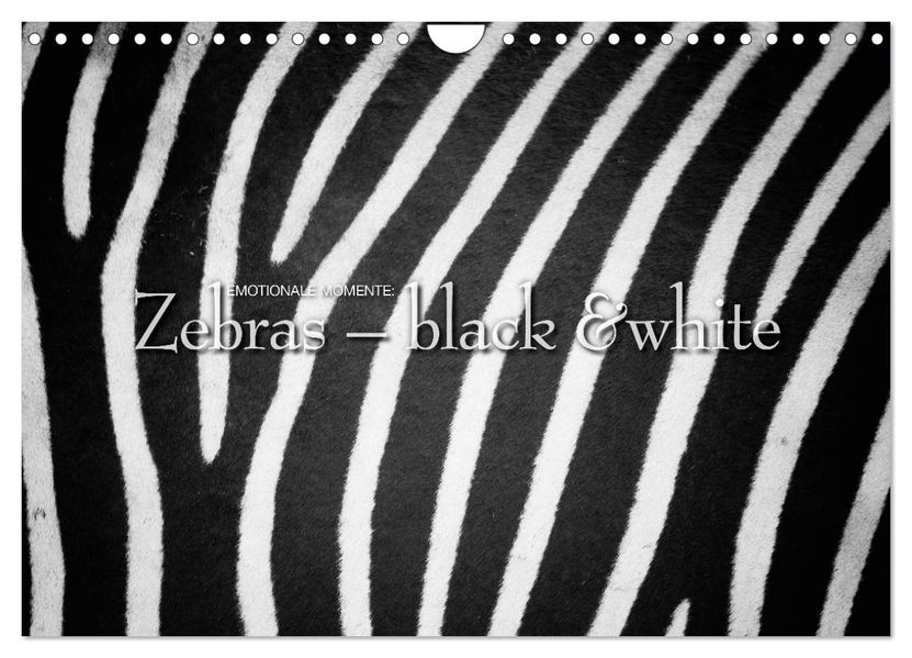 Emotionale Momente: Zebras - black & white. (Wandkalender 2027 DIN A4 quer) CALVENDO Monatskalender