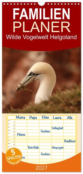 Familienplaner 2027 - Wilde Vogelwelt Helgoland mit 5 Spalten (Wandkalender 21 x 45 cm) CALVENDO